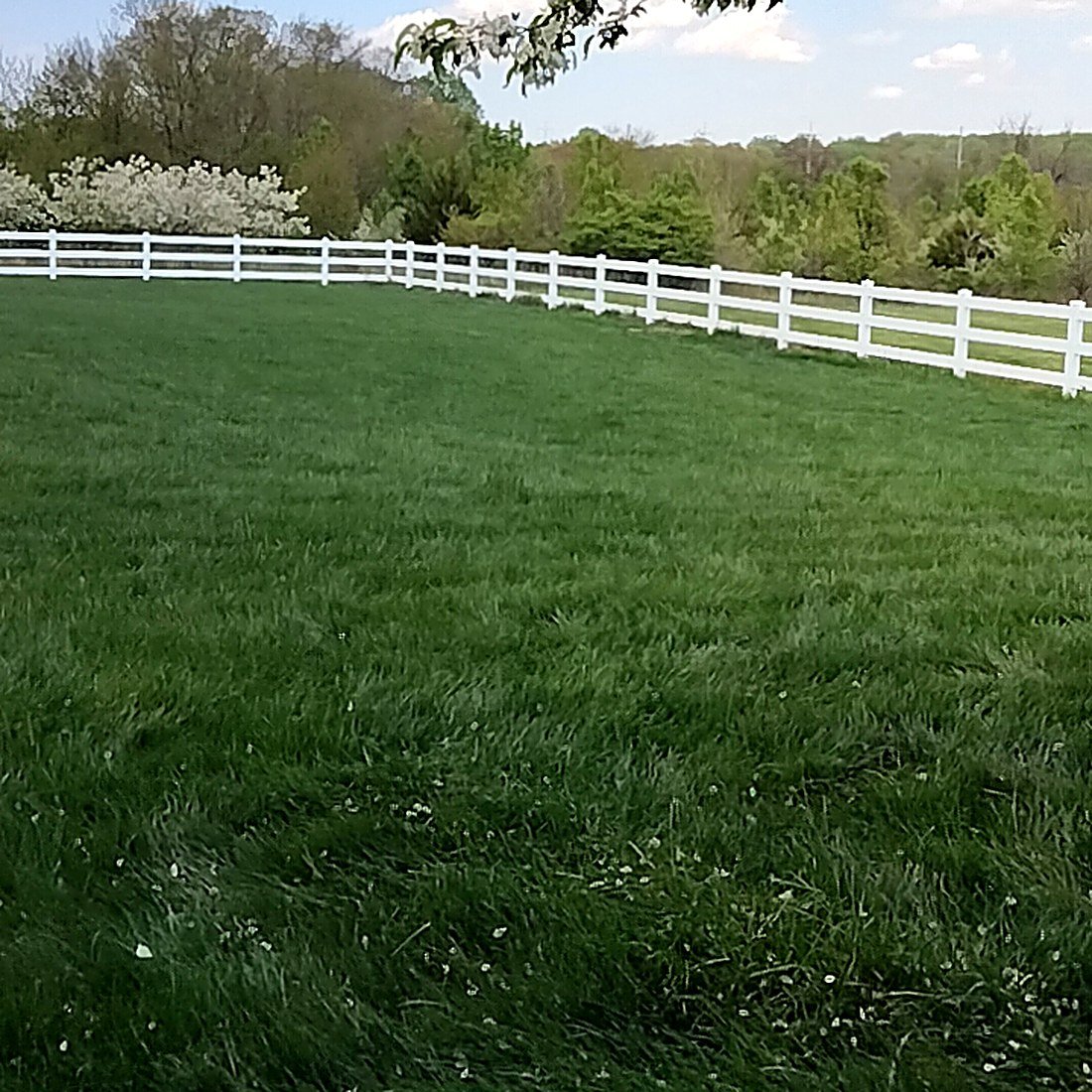 White vinyl privacy fence material